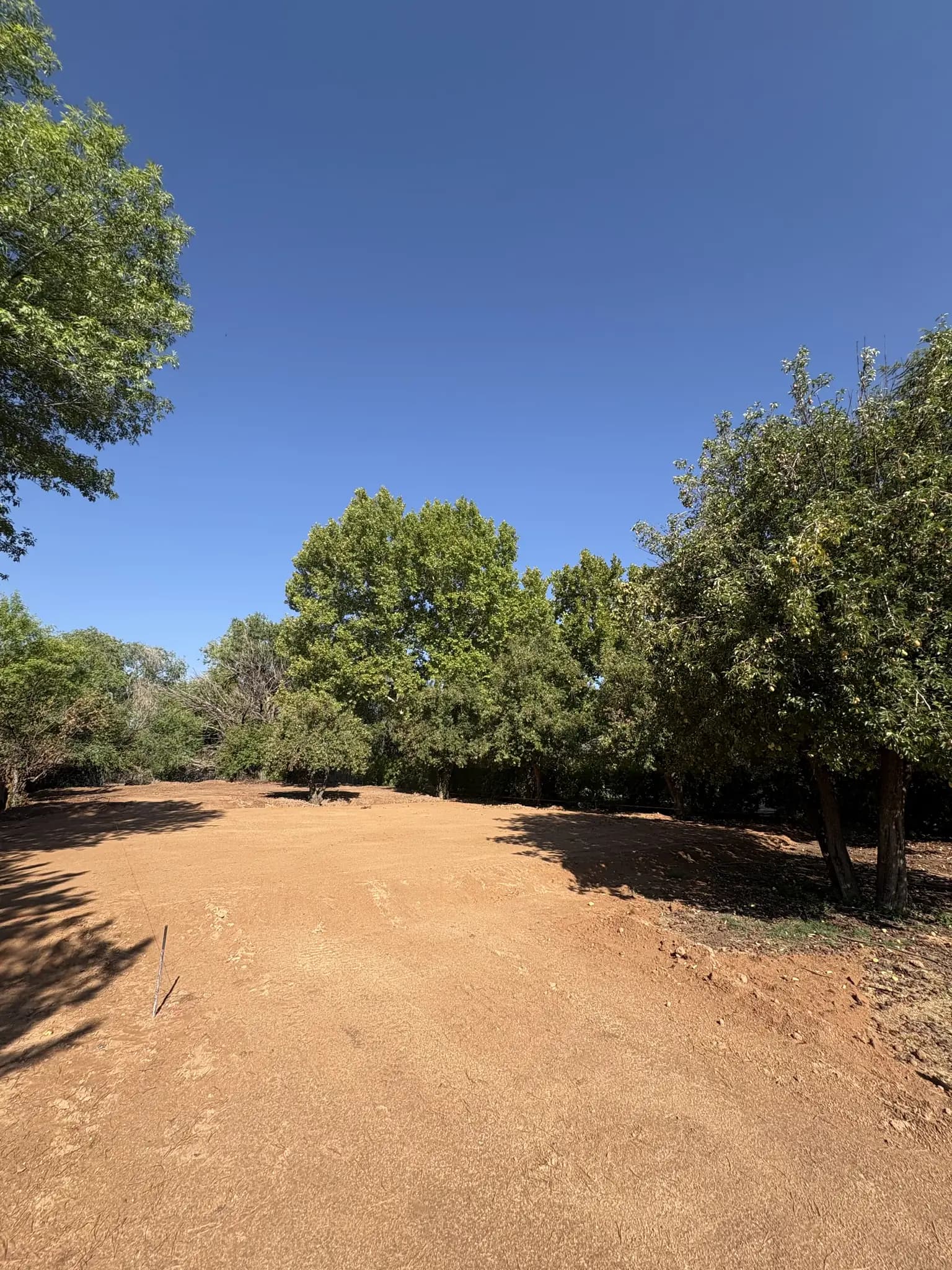 Peach Grove Home photo 12