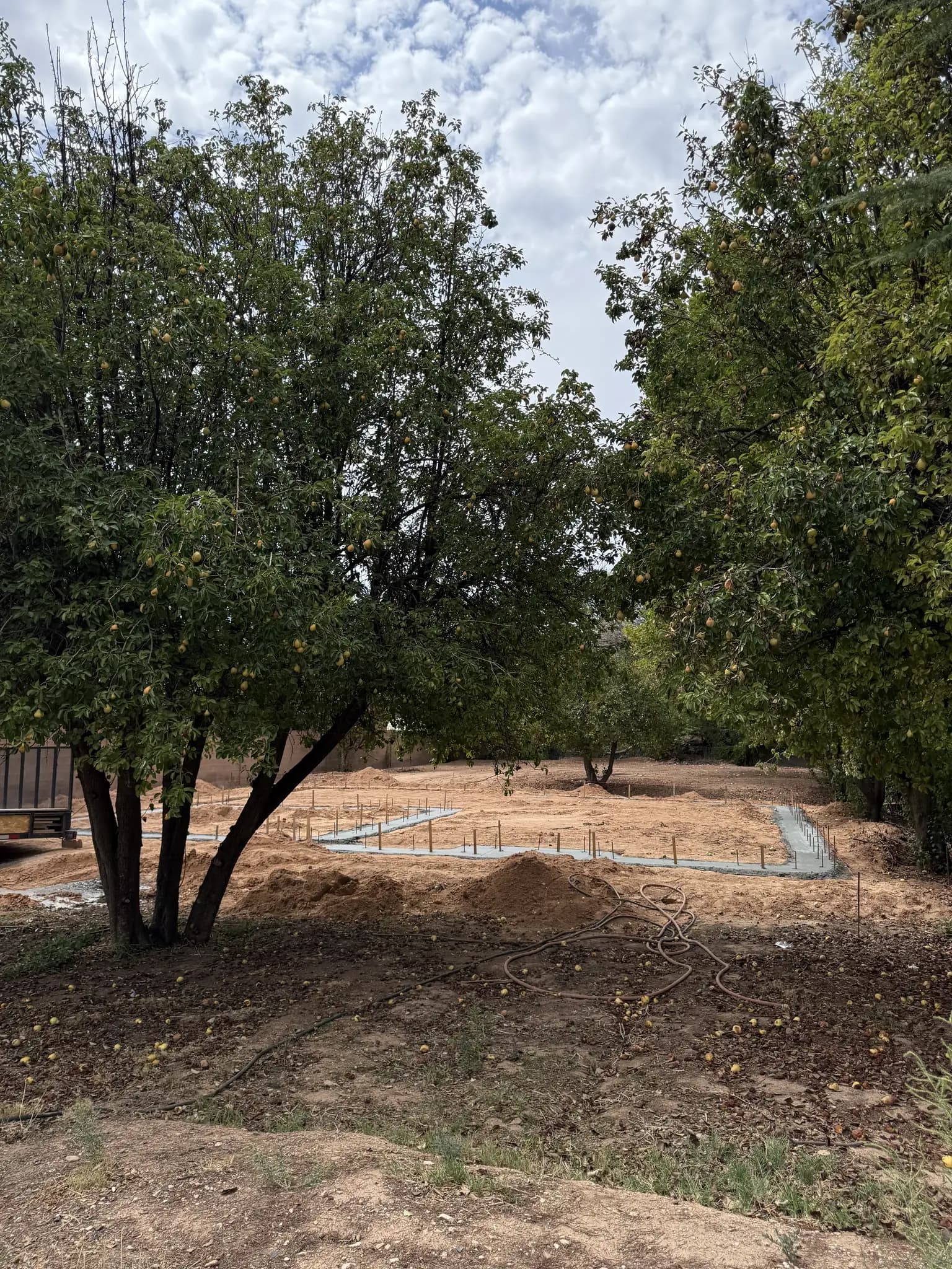 Peach Grove Home photo 5